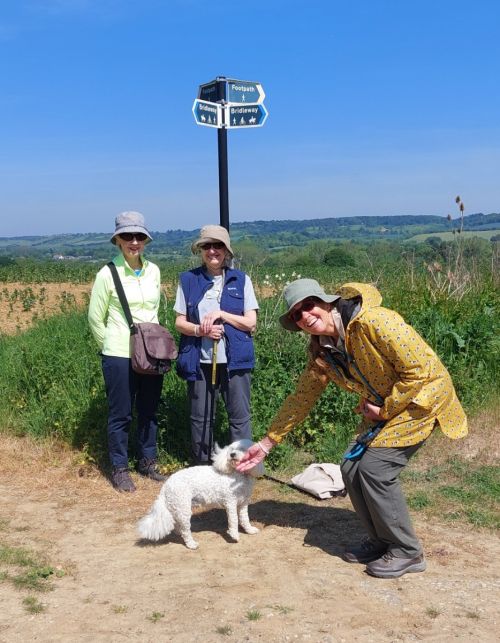 20250514 114044 20250514 114044